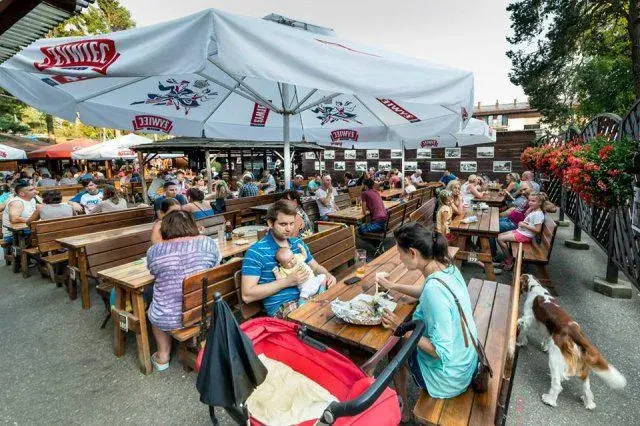 Gdzie zjeść w Jastrzębiej Górze poza sezonem? Sprawdzone lokale