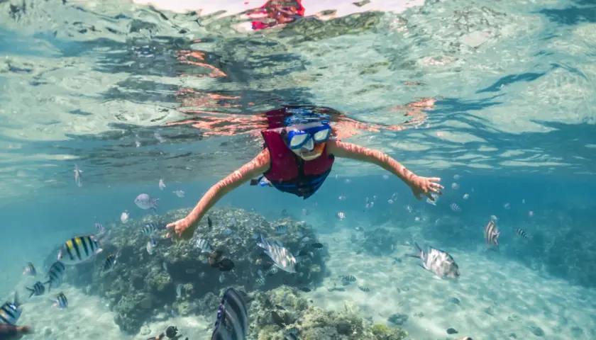 Dziecko w masce i kamizelce pływa wśród ławicy ryb. Woda jest przejrzysta, a dno piaszczyste. Czy morze czerwone jest ciepłe? Tak, jest idealne do snorkelingu!