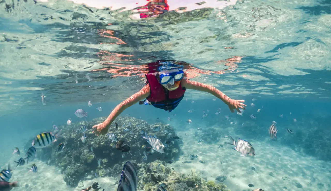 Dziecko w masce i kamizelce pływa wśród ławicy ryb. Woda jest przejrzysta, a dno piaszczyste. Czy morze czerwone jest ciepłe? Tak, jest idealne do snorkelingu!