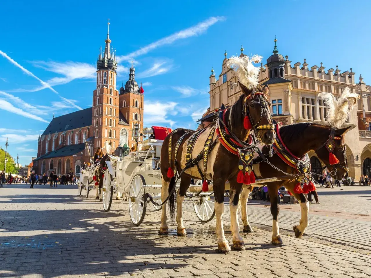 Kraków, Rynek Główny z dorożkami i Kościołem Mariackim. Zastanawiasz się, ile kosztuje nocleg w Krakowie?
