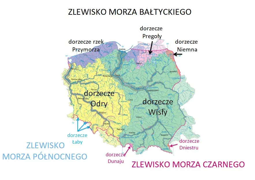 Zdjęcie Ile rzek wpływa do Bałtyku? Odkryj ich znaczenie dla ekosystemu