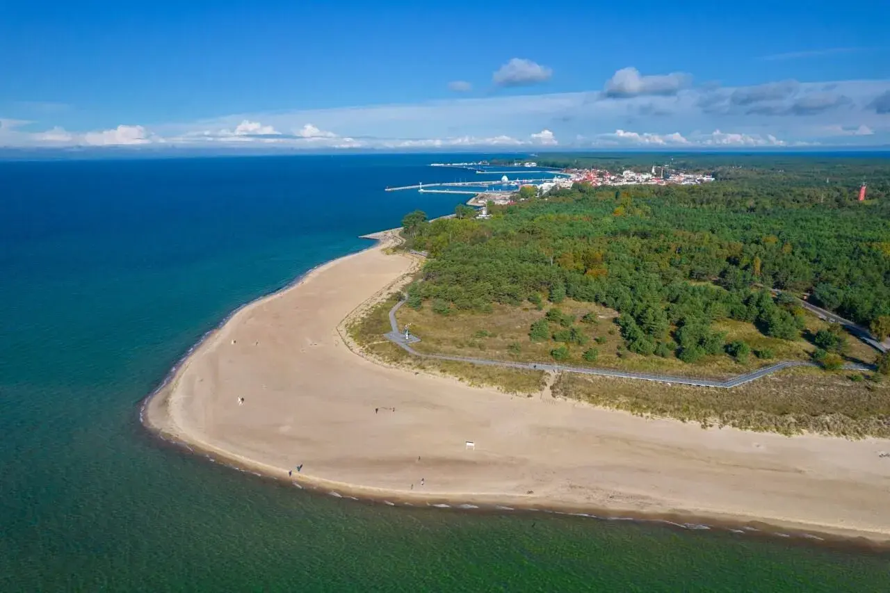 Piękna plaża i las nad Bałtykiem, gdzie jest najwięcej jodu w Europie.