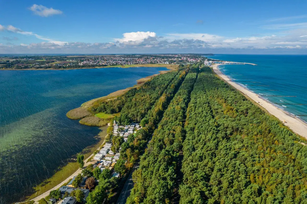 Nad Bałtykiem, gdzie jest najwięcej jodu w Europie, rozciąga się las i plaża. Widok z lotu ptaka na wybrzeże.