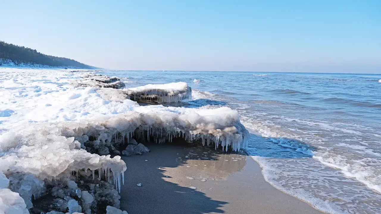 Lodowe sople zwisają z zamarzniętych kęp śniegu na plaży, pokazując, jak zamarza morze. W tle widać spokojne fale i las.