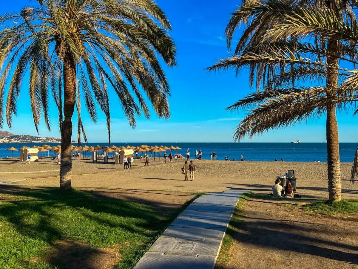 Palmy nad brzegiem morza, ludzie spacerujący po plaży i leżaki pod parasolami. To dowód, że Malaga ma dostęp do morza.