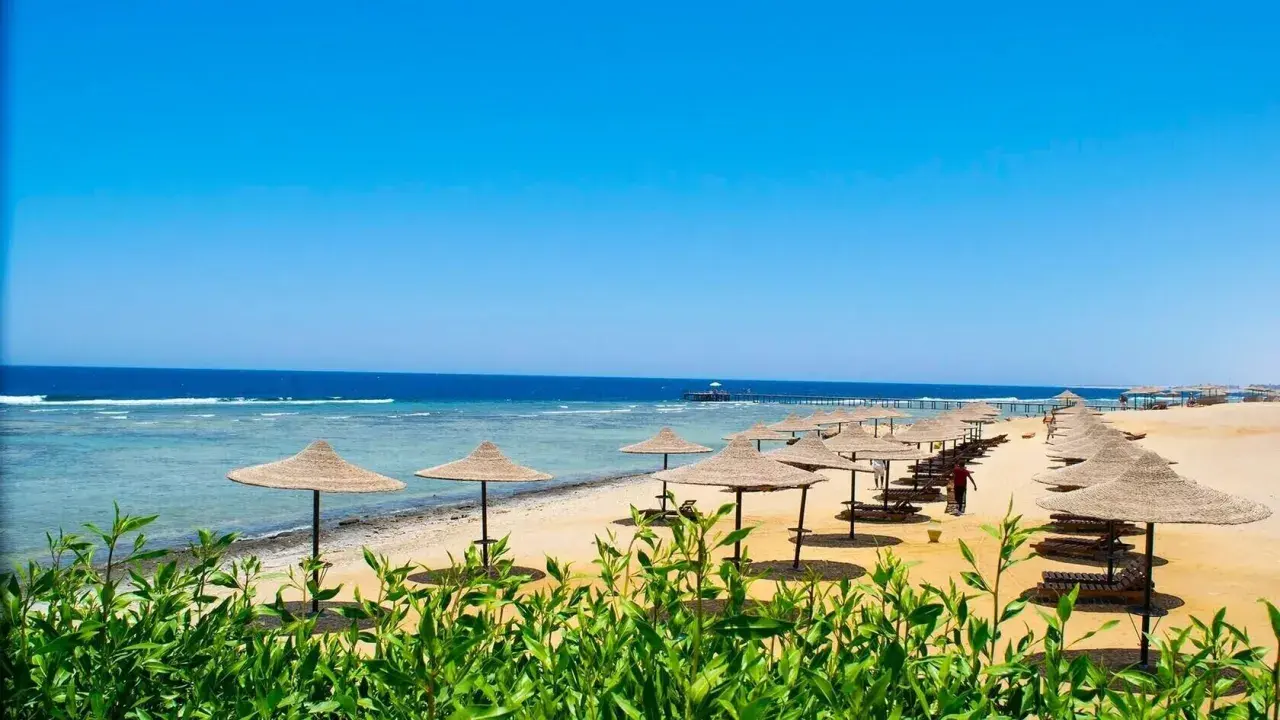Plaża nad Morzem Czerwonym, z rzędami parasoli i leżaków. Woda jest turkusowa, a niebo błękitne. Czy morze czerwone ma jod? Tak, jest bogate w minerały.